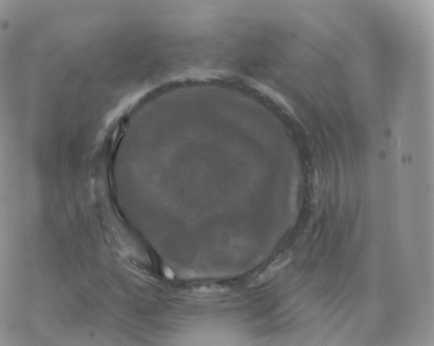 X0000070401160200606302004