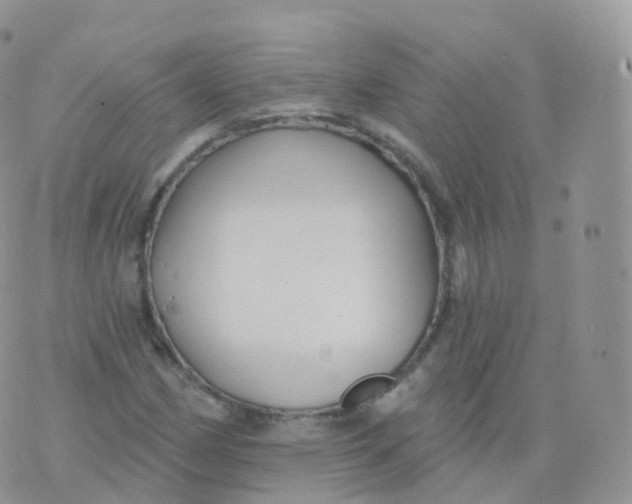 X0000070401162200606302004