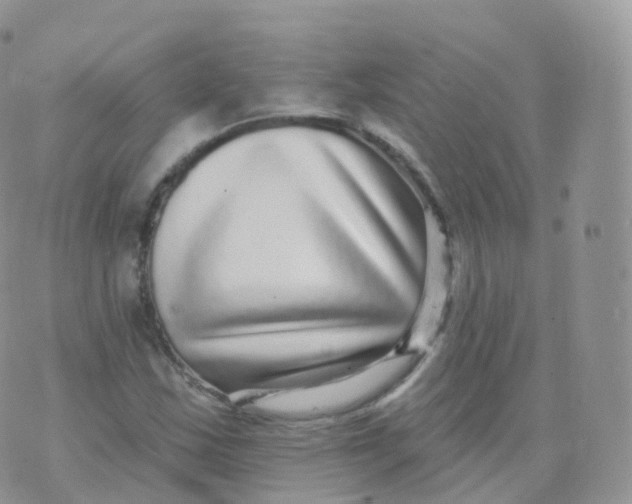 X0000070401163200606302004