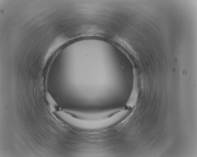 X0000070401164200606302004