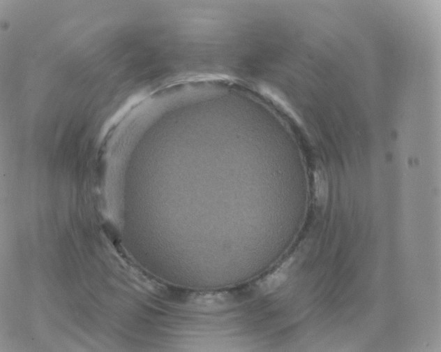 X0000070401165200606302004