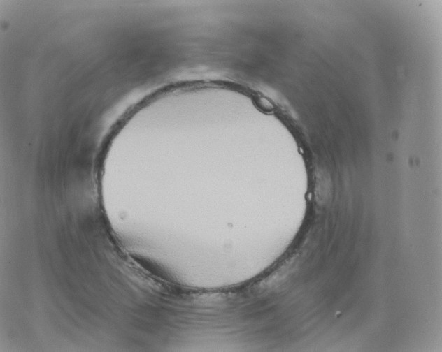 X0000070401167200606302004