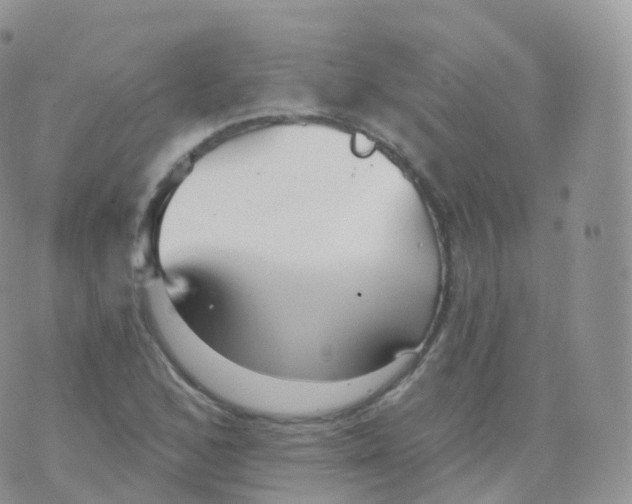 X0000070401168200606302004