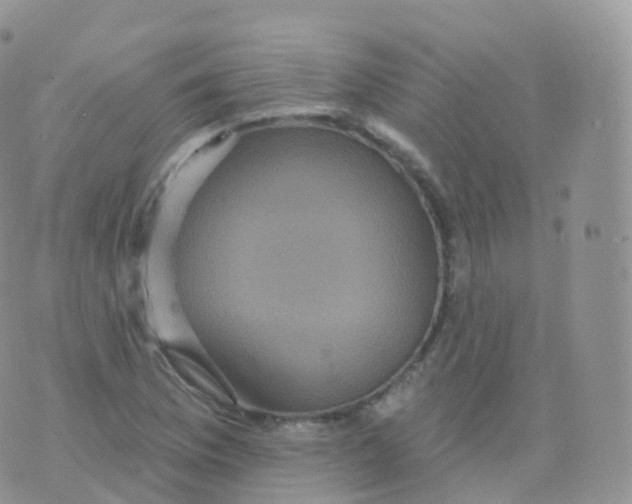 X0000070401169200606302004