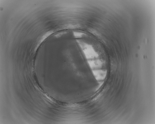 X0000070401170200606302004