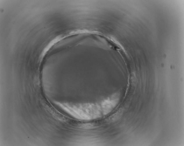 X0000070401173200606302004