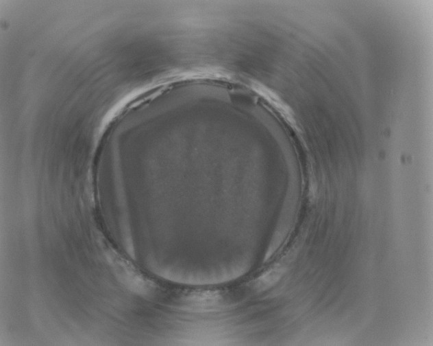 X0000070401174200606302004