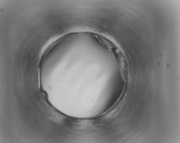 X0000070401175200606302004