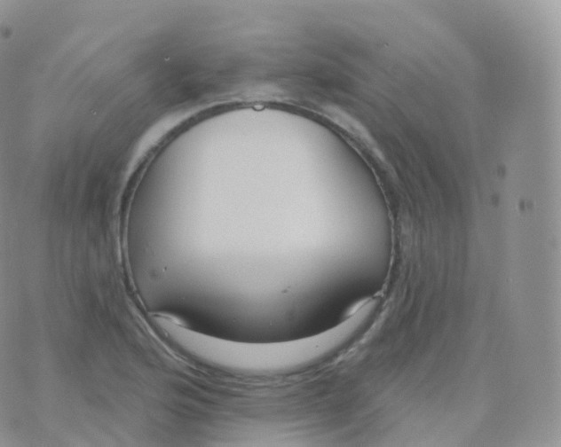 X0000070401176200606302004