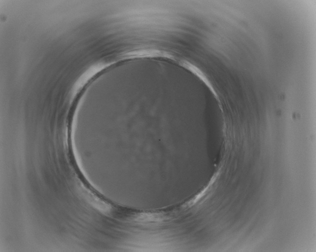 X0000070401179200606302004