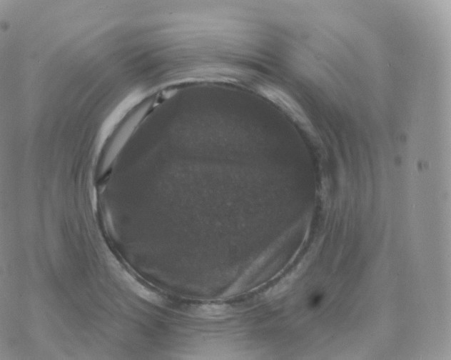 X0000070401180200606302004