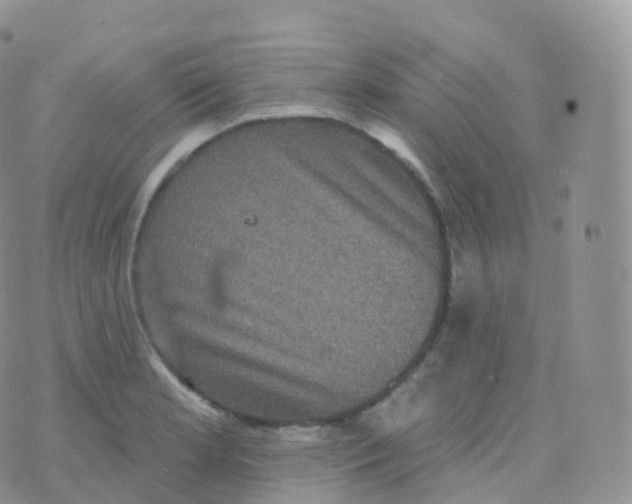 X0000070401181200606302004