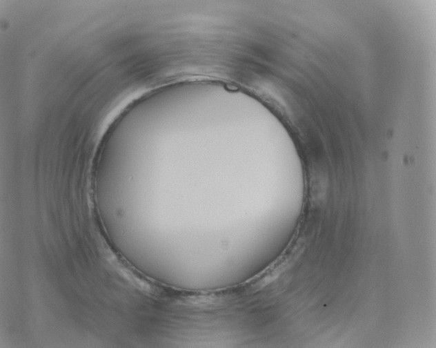 X0000070401182200606302004