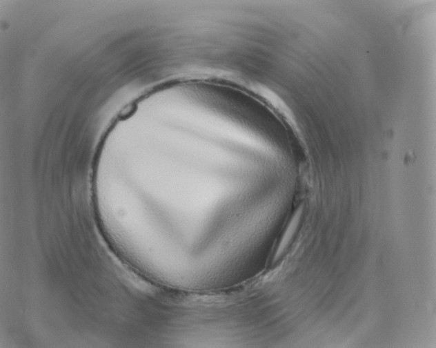 X0000070401183200606302003