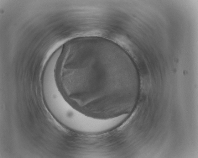 X0000070401184200606302003