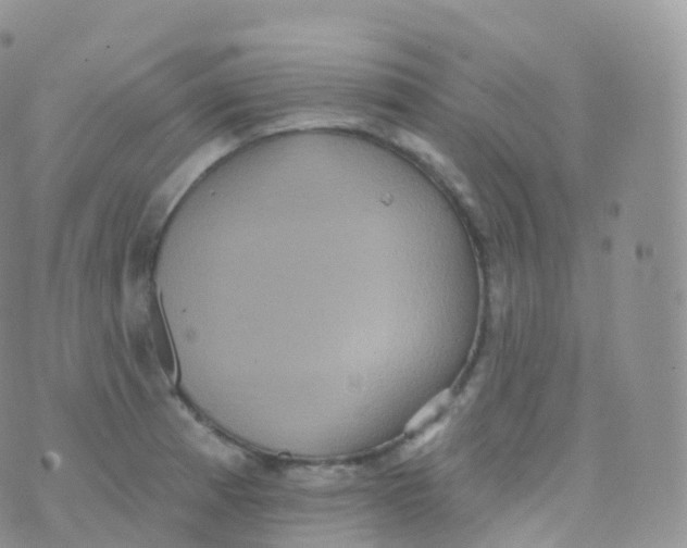 X0000070401185200606302003