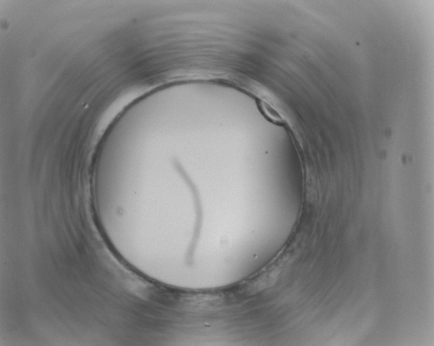 X0000070401187200606302003