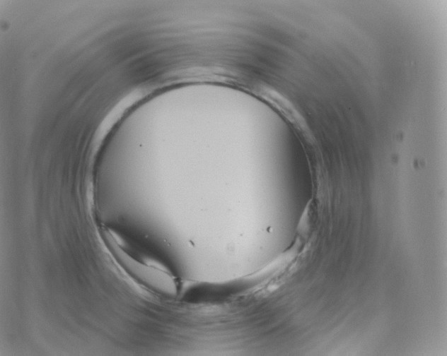 X0000070401188200606302003