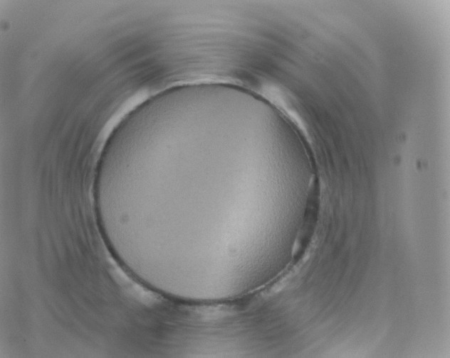 X0000070401189200606302003