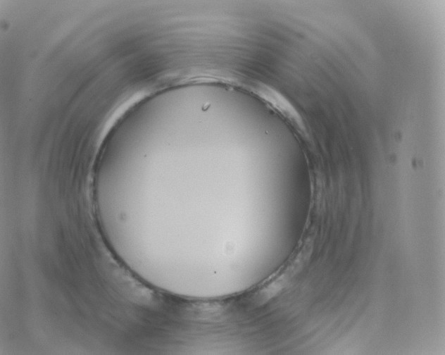 X0000070401190200606302003