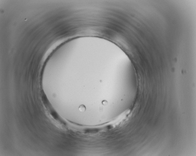 X0000070401192200606302003