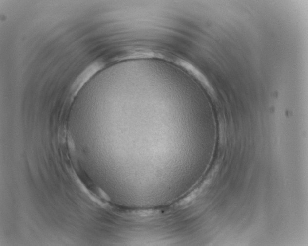 X0000070401193200606302003