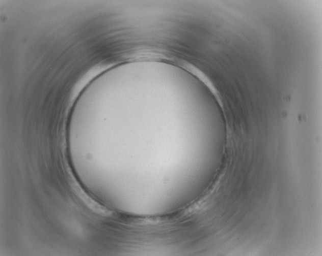 X0000070401195200606302003