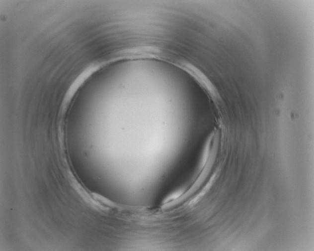 X0000070401196200606302003