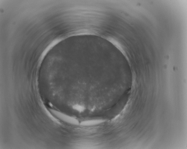 X0000070401197200606302003