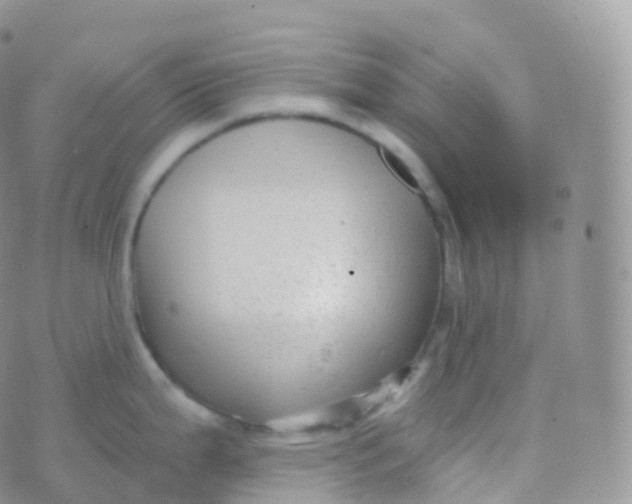 X0000070401199200606302003