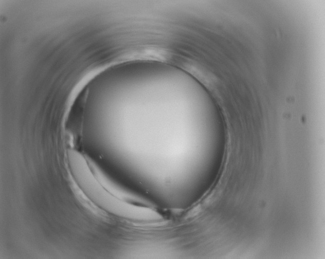 X0000070401200200606302003