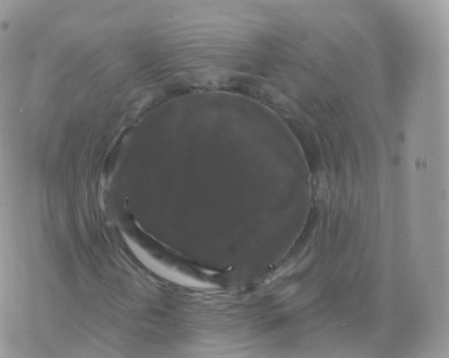 X0000070401202200606302002