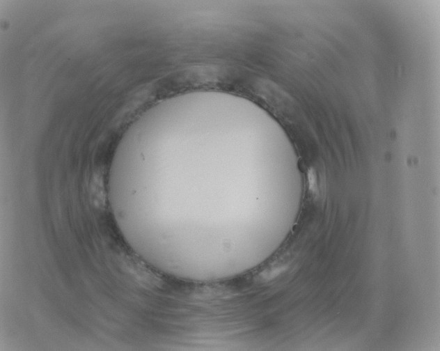 X0000070401203200606302002