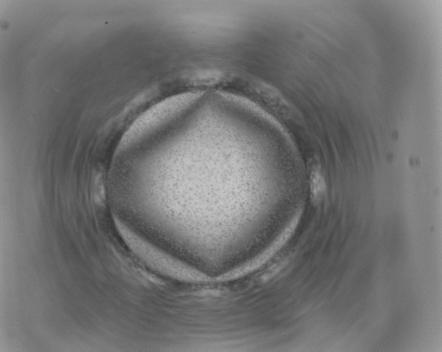 X0000070401204200606302002