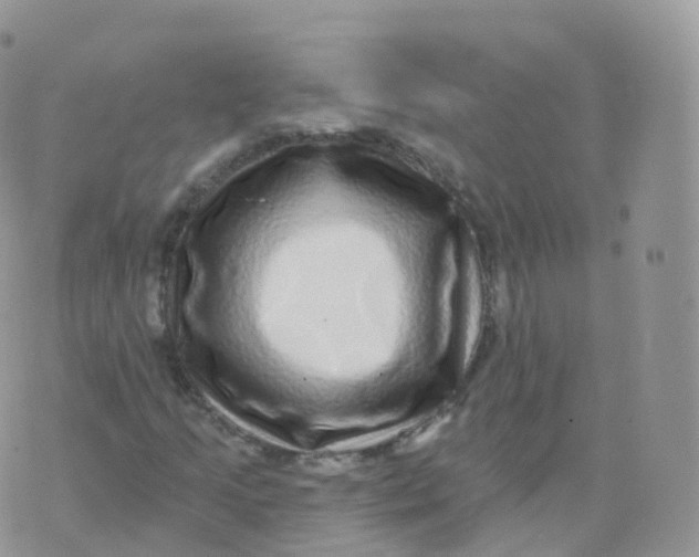 X0000070401205200606302003