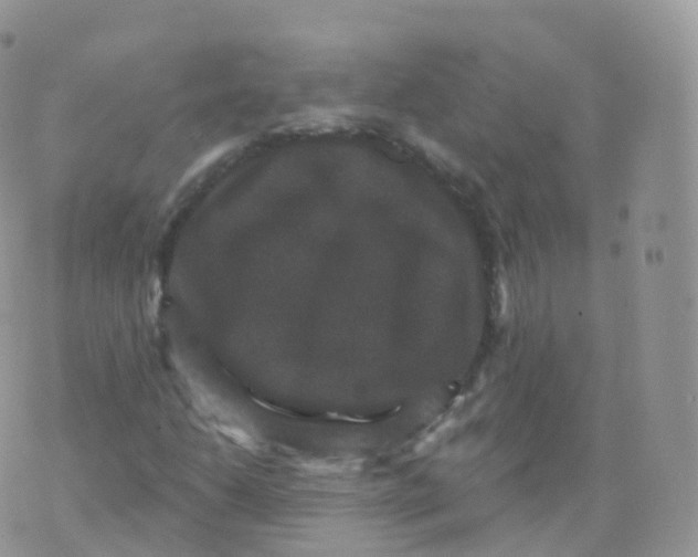 X0000070401206200606302003