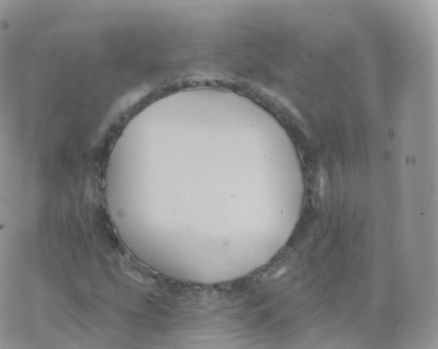 X0000070401207200606302003