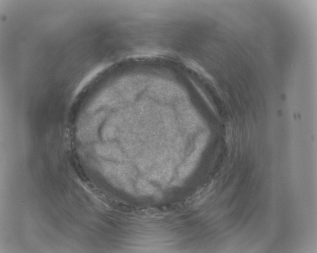 X0000070401208200606302003