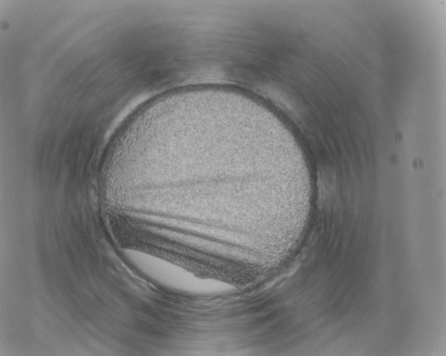 X0000070401212200606302003