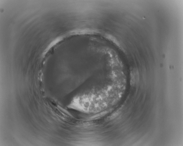 X0000070401213200606302003