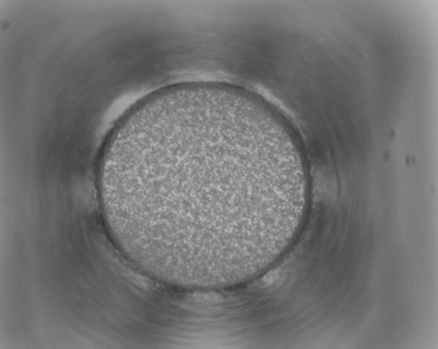 X0000070401215200606302003