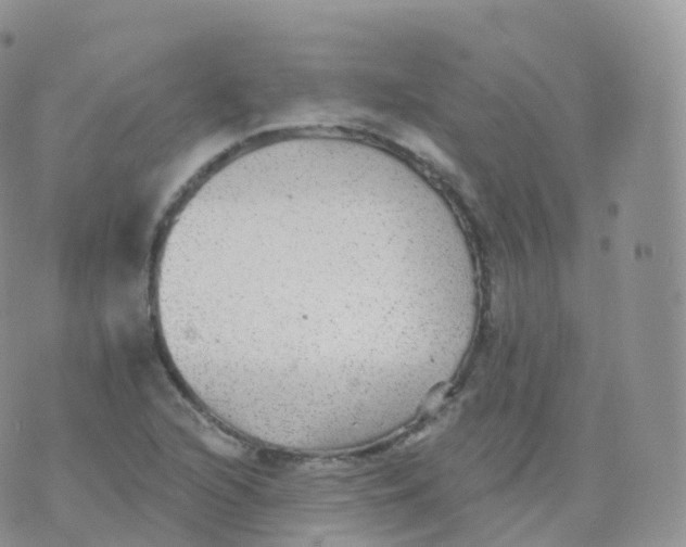 X0000070401216200606302003