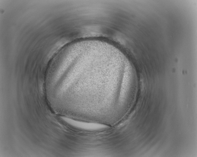 X0000070401217200606302003