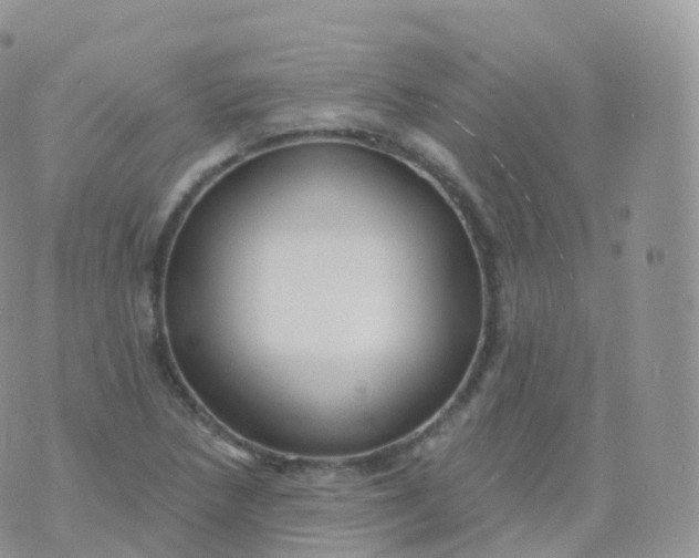 X0000070401218200606302003