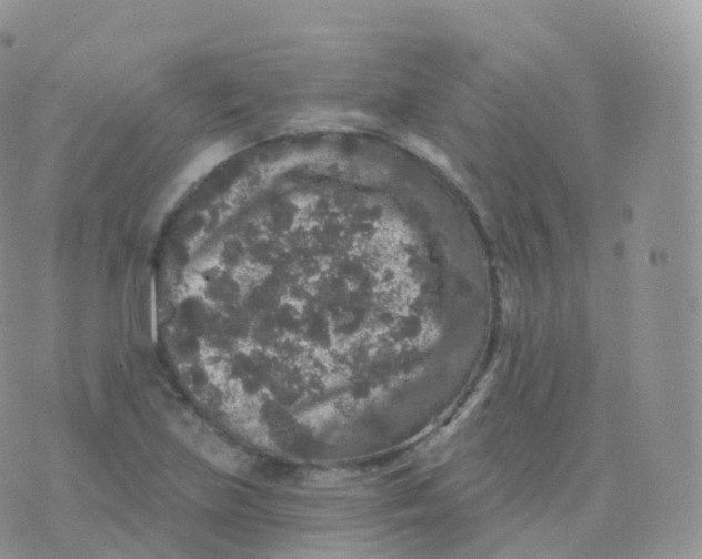 X0000070401219200606302003