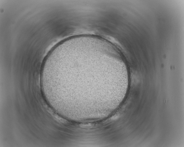 X0000070401220200606302003