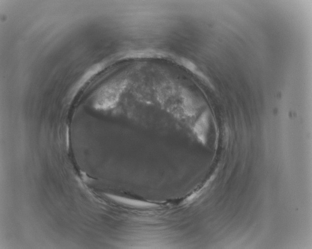 X0000070401221200606302003