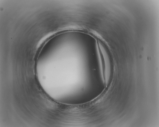 X0000070401222200606302003