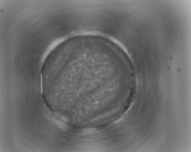 X0000070401223200606302003