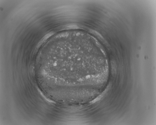 X0000070401225200606302003